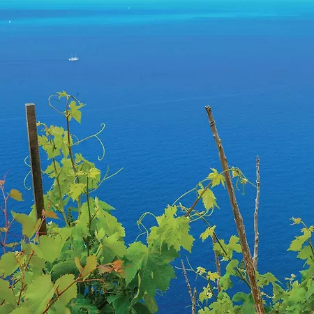 Three-bedroom In Feriehus *