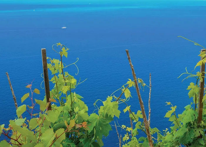 Three-bedroom In 펜션 *